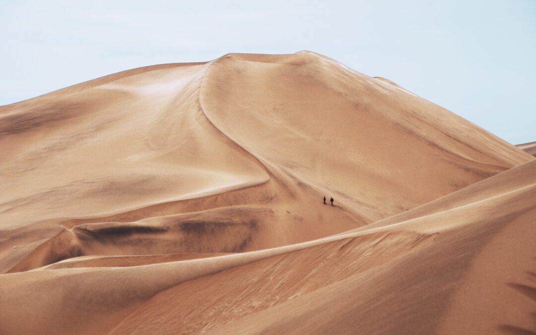 A holiday in the Dunes