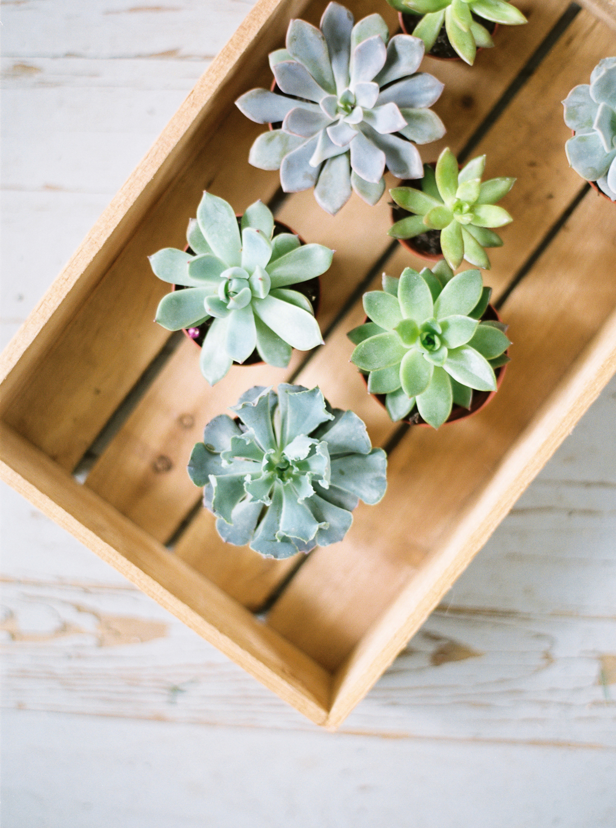 Serene-Green_Social-Squares_Styled-Stock_01267