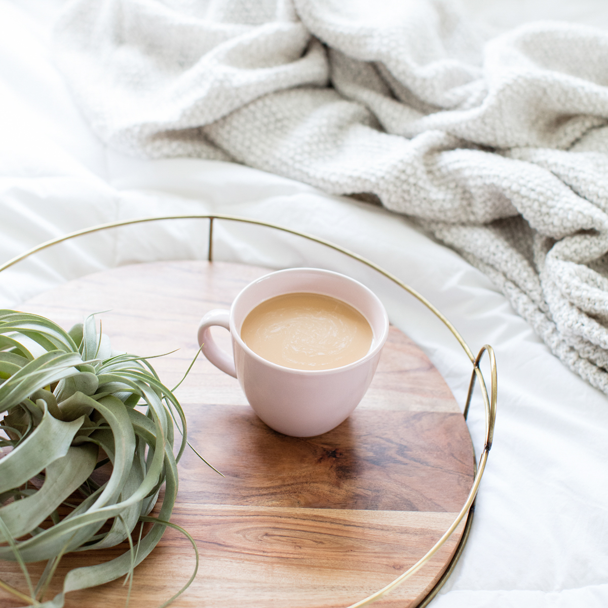 Styled Stock Photos for Instagram and Social Media, Flatlays, Social Squares from the SC Stockshop