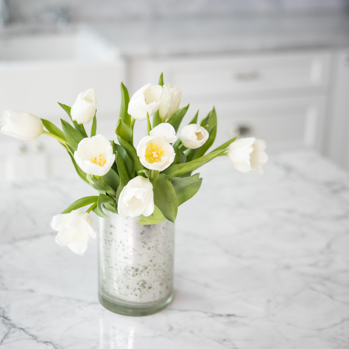 SocialSquares_garden_fresh_kitchen_035-2